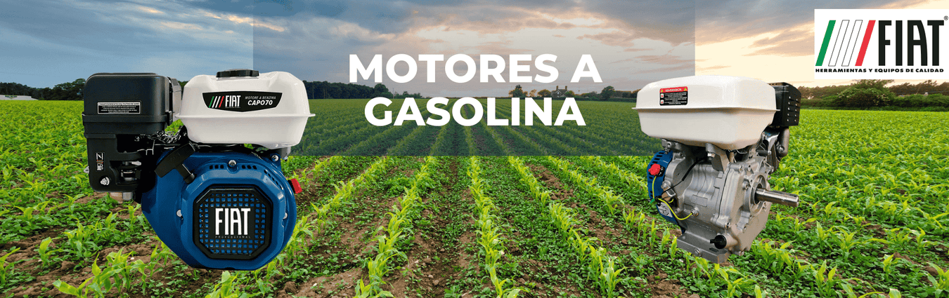 Motores a Gasolina