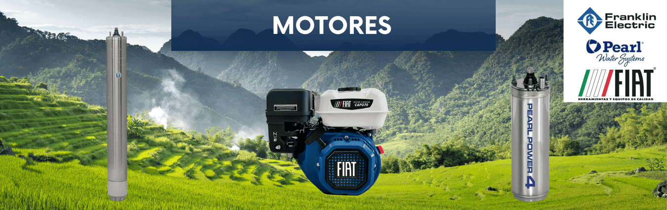 Motores
